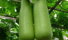 南充吃瓜爆料公司地址,地址曝光，带你一探究竟